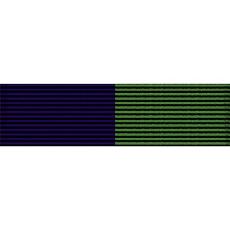 Arizona National Guard Community Service Ribbon